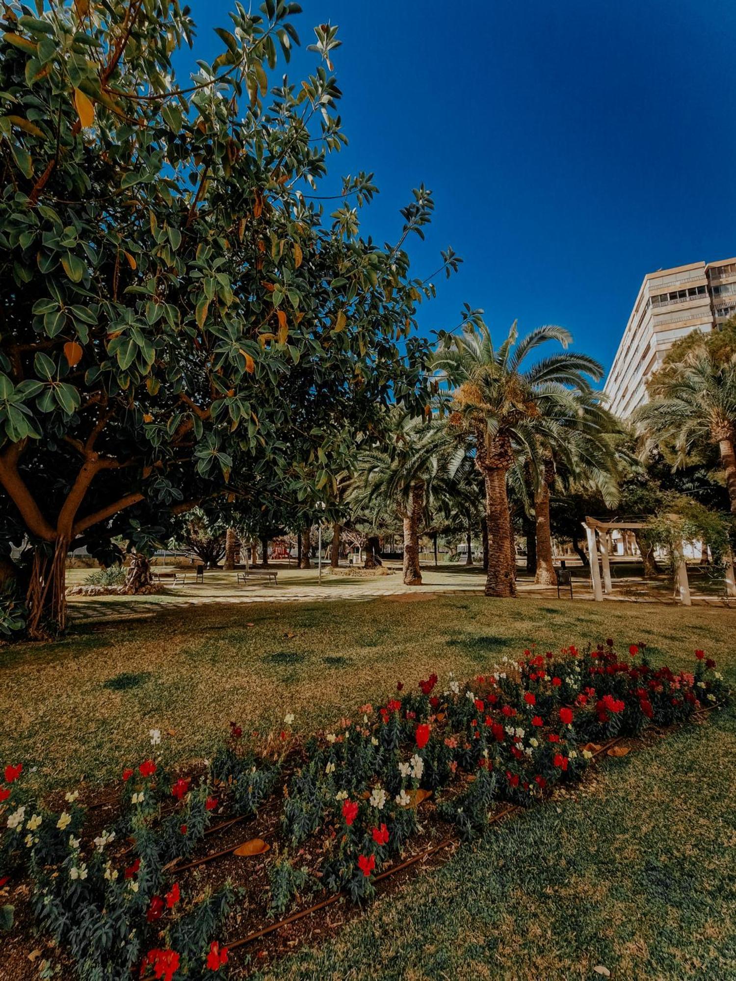 Sea Apartment Alicante Bagian luar foto